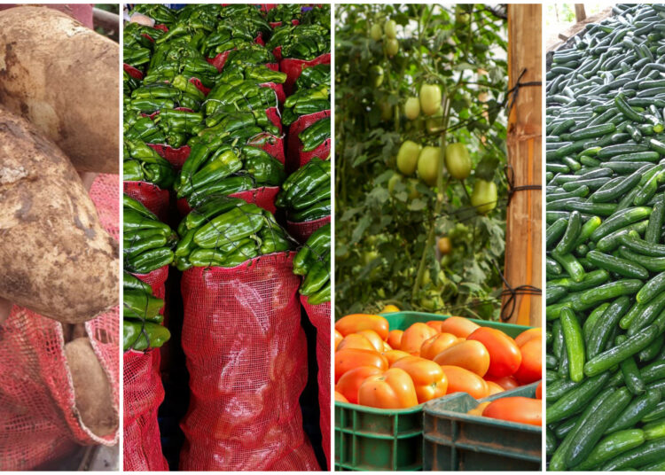 Agricultores locales abastecen con calidad y buenos precios los Agro Mercados y Central de Abastos