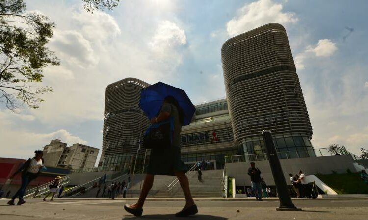 Ambiente caluroso con máximas de hasta 40 °C