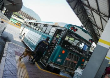 Unidad Canina de la PNC intensifica control en terminal para detectar ilícitos en semana de transporte gratis