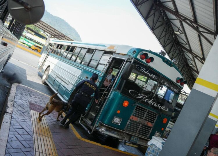 Unidad Canina de la PNC intensifica control en terminal para detectar ilícitos en semana de transporte gratis