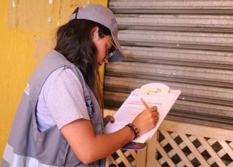 Mujer multada en Guatemala por operar un gato sin ser veterinaria