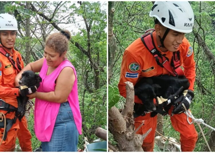 Mascota es entregada sana y salva a su dueña tras una compleja operación de rescate