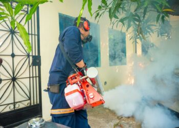 Fumigación, poda, recolección de desechos y atención médica forman parte del operativo en San Salvador Centro