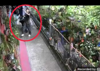 Denuncian hurto de ropa en viviendas de Altavista