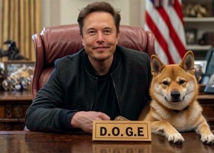 Elon Musk renuncia a DOGE