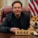 Elon Musk renuncia a DOGE