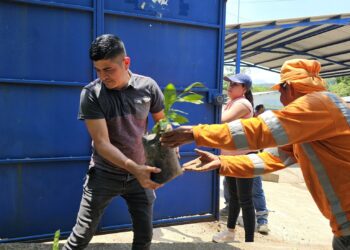Asociación MUSSAL impulsa reforestación con entrega de árboles a MOP y FOVIAL en Sonsonate