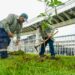 La reforestación como apuesta verde para transformar la ciudad