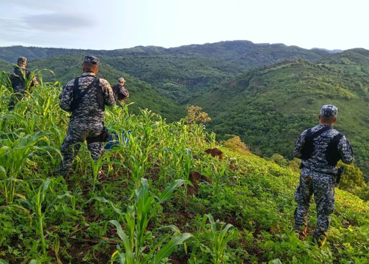 PNC desmantela campamento de la MS13 tras enfrentamiento; pandilleros huyen