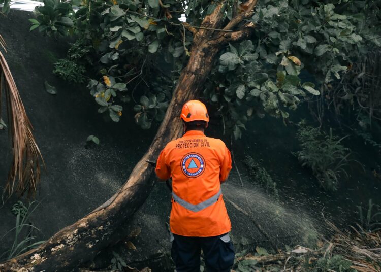 Protección Civil remueve árboles caídos en Soyapango y San Salvador Centro para prevenir riesgos