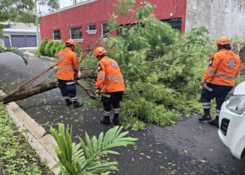 Gobierno mantiene respuesta activa ante emergencias por lluvias en todo el país