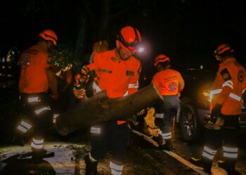 Protección Civil retira árbol caído que obstruía paso peatonal en San Salvador tras fuertes lluvias