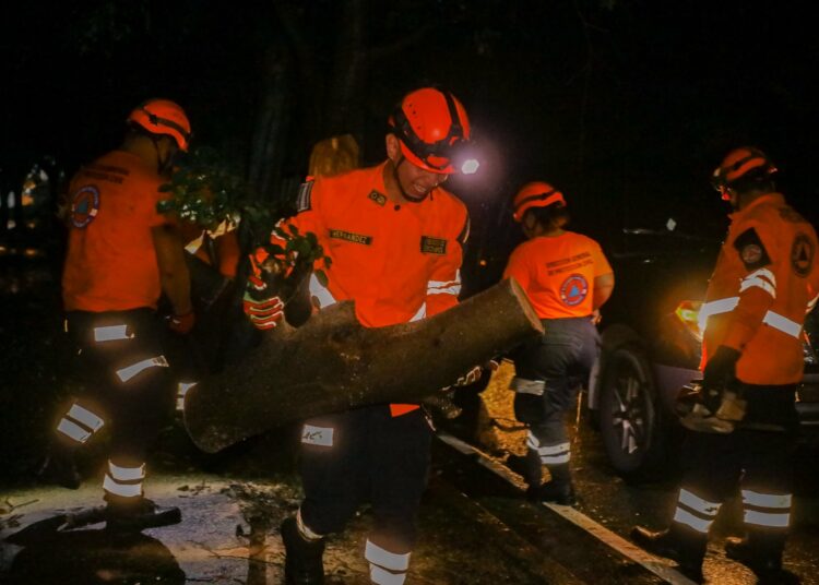 Protección Civil retira árbol caído que obstruía paso peatonal en San Salvador tras fuertes lluvias