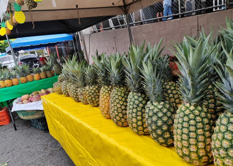 Fiesta, sabor y tradición en la Feria de la Piña Ostumeña 2025