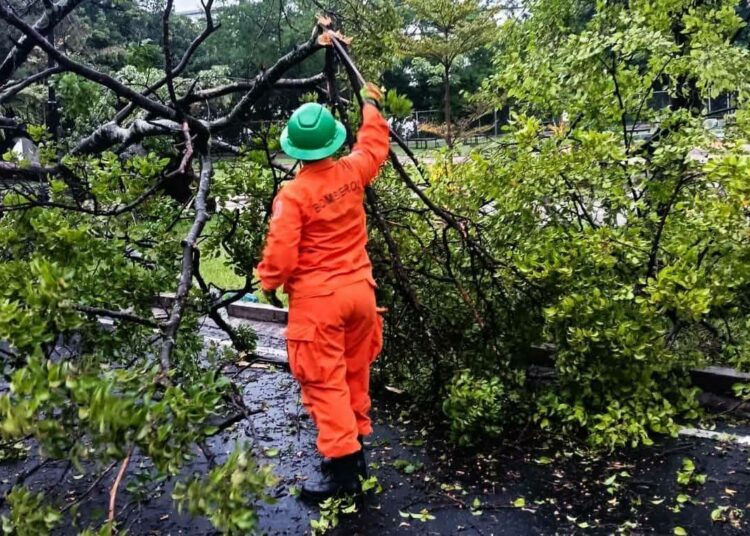 Protección Civil reporta daños por lluvias y mantiene activos tres albergues para atender a familias afectadas