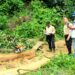 Autoridades decomisan madera extraída ilegalmente de árboles protegidos en Tonacatepeque