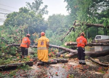 Protección Civil atiende emergencias por lluvias en diferentes puntos de San Miguel