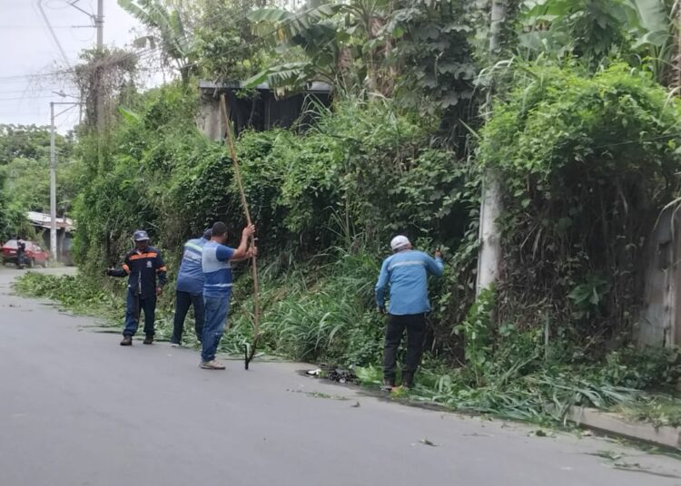 Limpieza y fumigación benefician a familias en San Salvador Centro