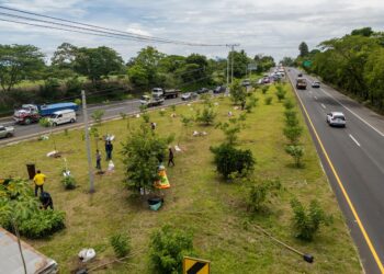 Anuncian Plan de Reforestación en carreteras de El Salvador