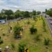 Anuncian Plan de Reforestación en carreteras de El Salvador