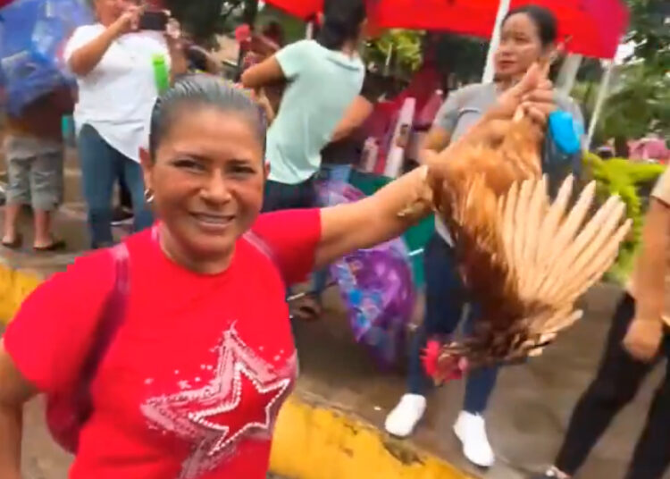 Gallinas en lugar de dulces en desfile del correo de Caluco