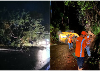Equipos de emergencia atienden incidentes por las lluvias