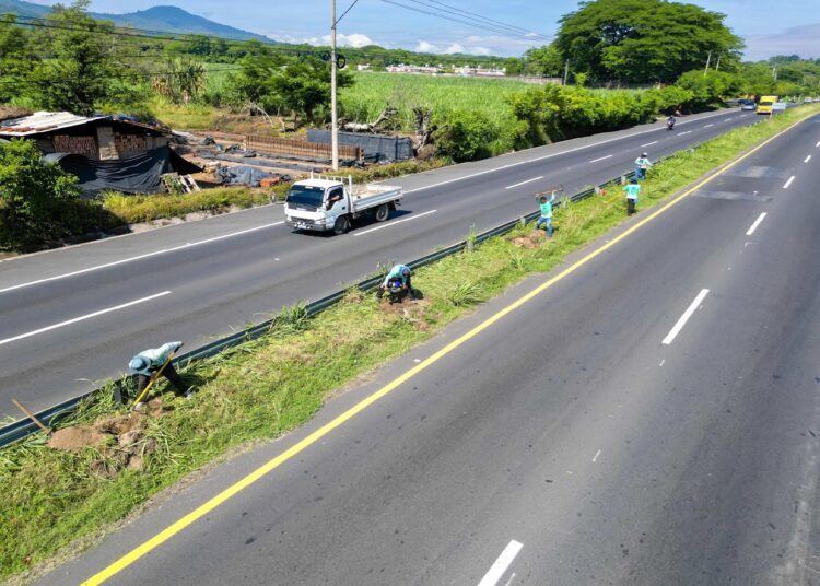 Gobierno avanza con reforestación en carreteras para promover un El Salvador más sostenible