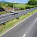 Gobierno avanza con reforestación en carreteras para promover un El Salvador más sostenible