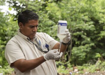 MASCOTAS PROTEGIDAS CONTRA EL GUSANO BARRENADOR:BRIGADAS DEL MAG LLEGAN A APOPA