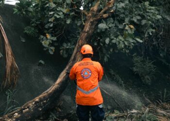 Protección Civil brinda reporte de emergencias atendidas por lluvias