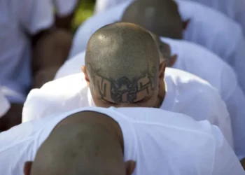 113 años en prisión deberá pasar peligroso pandillero por cometer múltiples delitos contra la población