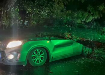 Protección Civil refuerza respuesta ante emergencias por lluvias y advierte sobre riesgo de más incidentes