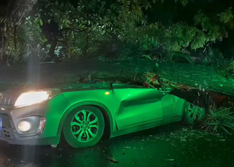 Protección Civil refuerza respuesta ante emergencias por lluvias y advierte sobre riesgo de más incidentes