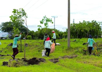 Refuerzan reforestación en carretera entre Quezaltepeque y San Juan Opico bajo el programa MOP Verde