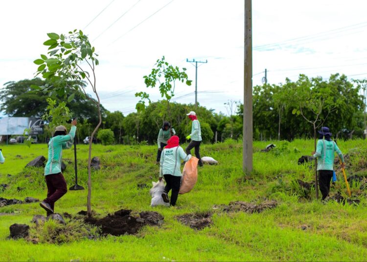 Refuerzan reforestación en carretera entre Quezaltepeque y San Juan Opico bajo el programa MOP Verde