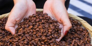 El café salvadoreño destaca en el mercado internacional
