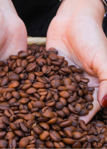 El café salvadoreño destaca en el mercado internacional