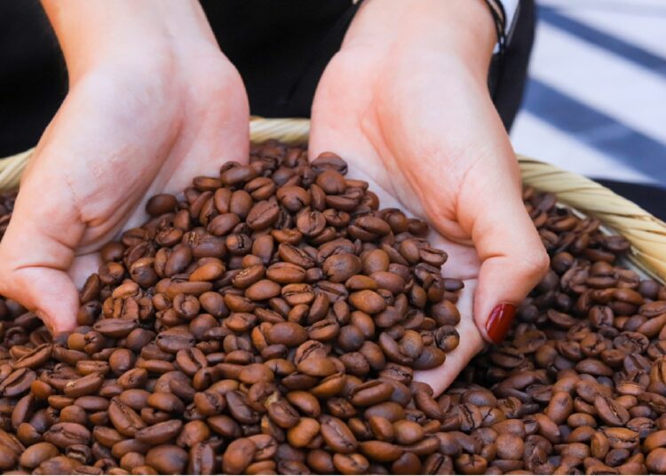 El café salvadoreño destaca en el mercado internacional