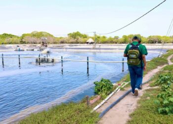 El BCR avanza en el Censo Agropecuario y de Pesca 2025 para fortalecer los sectores productivos