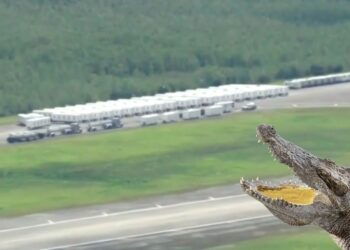 Trump asistirá a la apertura del centro de detención “Alcatraz Caimán” en los Everglades de Florida
