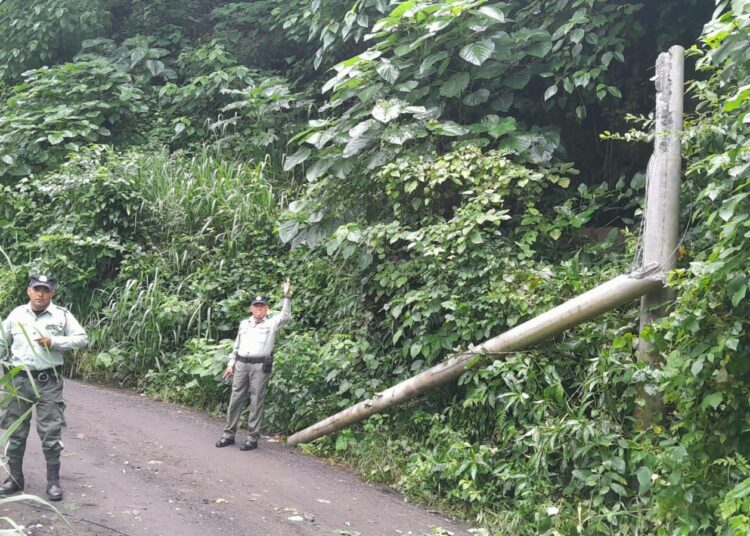 Agentes municipales restablecen paso hacia cantón Victoria tras caída de poste por lluvias