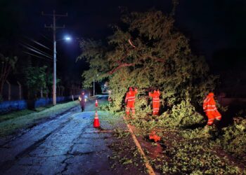 Red vial registra más de 100 emergencias atendidas en las últimas semanas