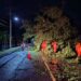 Red vial registra más de 100 emergencias atendidas en las últimas semanas