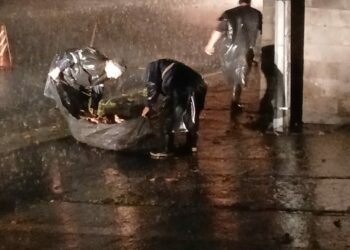 Equipos municipales refuerzan limpieza de drenajes para prevenir inundaciones