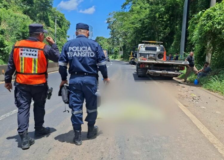 Peatón pierde la vida tras ser embestido por una grúa sobre carretera Panamericana
