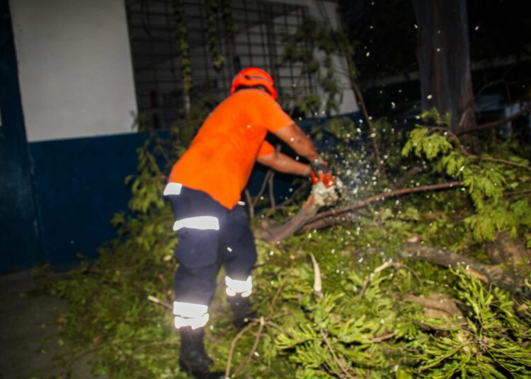 Atienden emergencias por caída de árboles durante las lluvias en distintos puntos del país