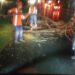 Retiran árbol caído debido a las lluvias en Quezaltepeque