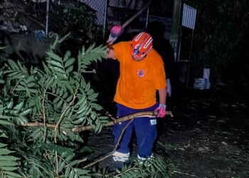 Lluvias dejan más de 900 emergencias: árboles caídos, viviendas dañadas y vías obstruidas en todo el país