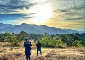 El Salvador suma 25 días sin homicidios en julio