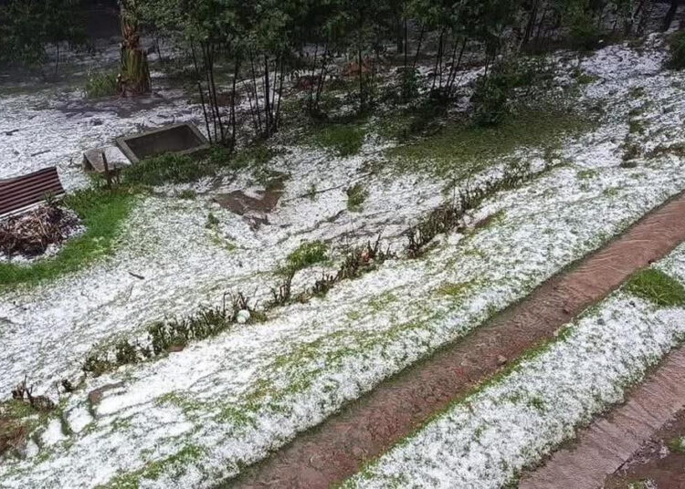 Granizada sorprende a vecinos y deja pérdidas en la agricultura de Guatemala